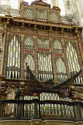 DSCN8975.JPG