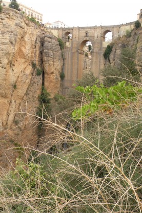 DSCN8906.JPG