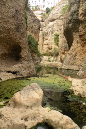 DSCN8925.JPG