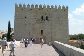 DSCN8944.JPG