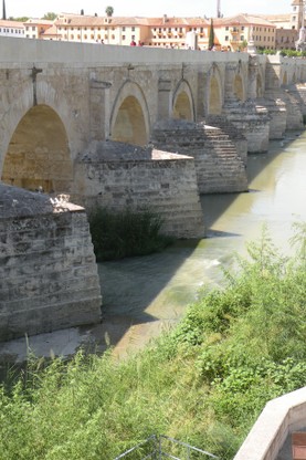 DSCN8946.JPG