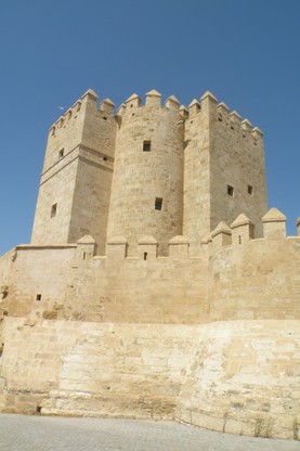 DSCN8947.JPG