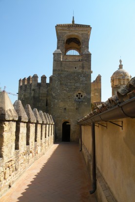 DSCN9006.JPG