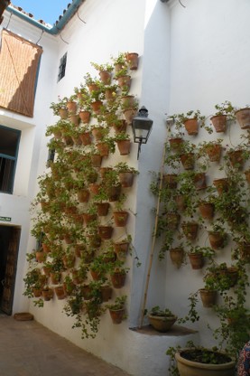 DSCN9023.JPG