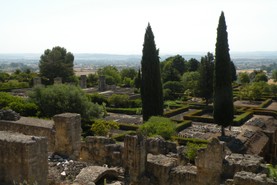DSCN9036.JPG