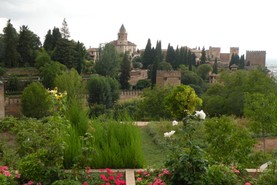 DSCN9066.JPG