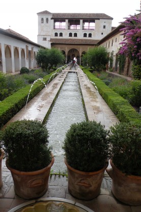 DSCN9067.JPG